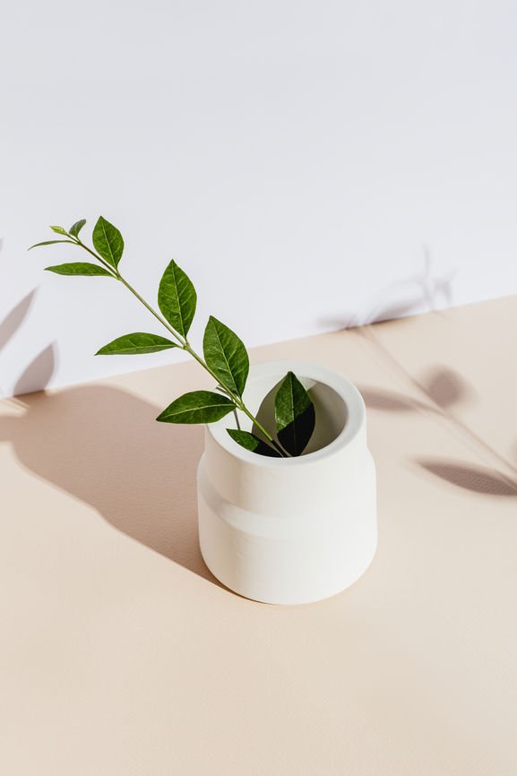 These Vegan Condom Brands Want You to Have World-Changing Sex