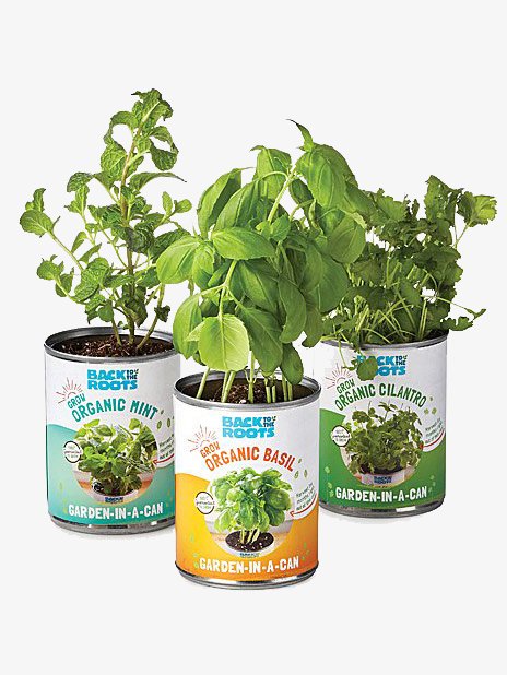 2. Uncommon Goods.jpg