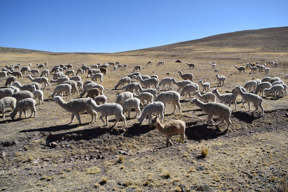 Ariana Bohling 4.jpg