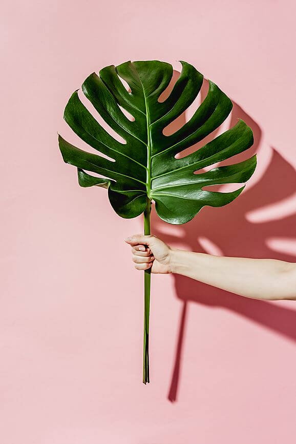 Demystifying Feminism: 5 Ways To Support Girl-Power Movements Around the Word