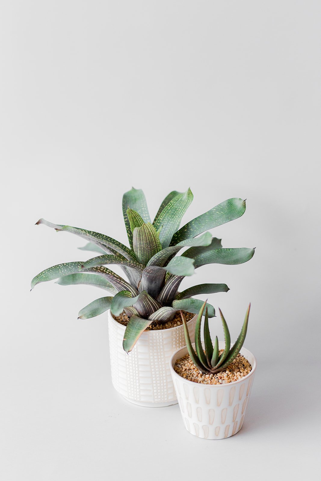 9 Trusted Resources For Staying Up-To-Date With Environmental Policy