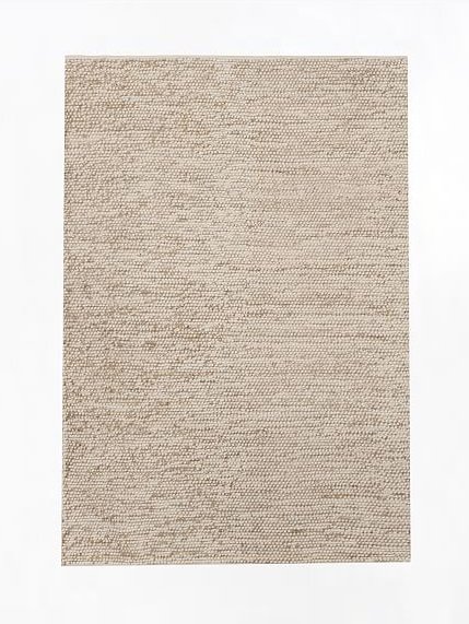 West Elm Rug.jpg