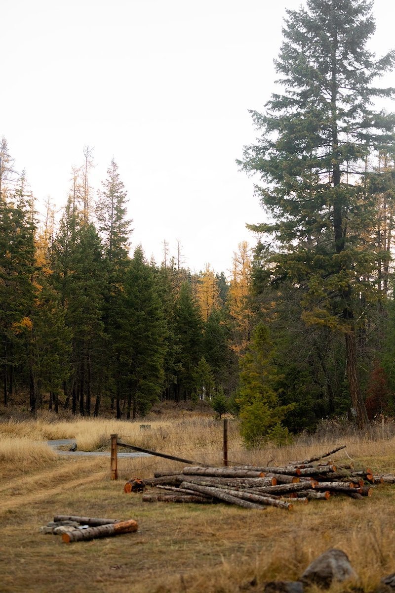 How To Uplift The Voices Of Young Climate Activists Of Color (Plus 10 Accounts To Follow)