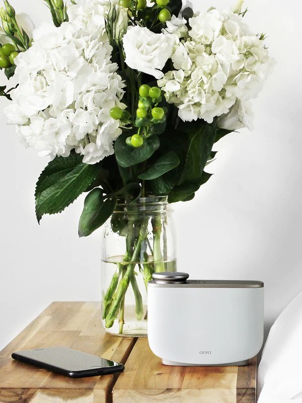 The 5 Best Essential Oil Diffusers For An Eco-Friendly Home