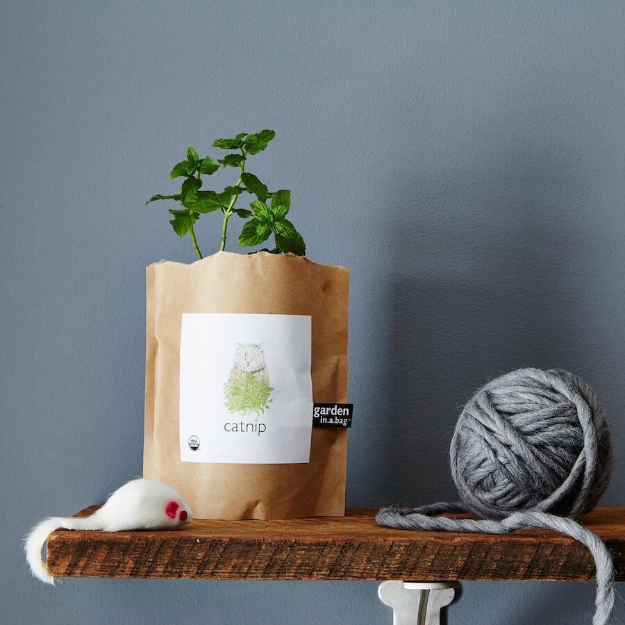 garden-catnip-sustainable-pet-gifts.jpg