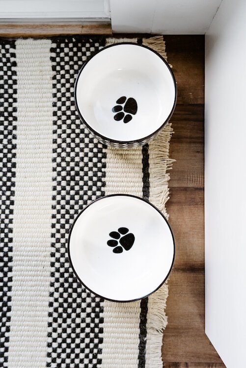 On Grieving The Loss Of A Pet