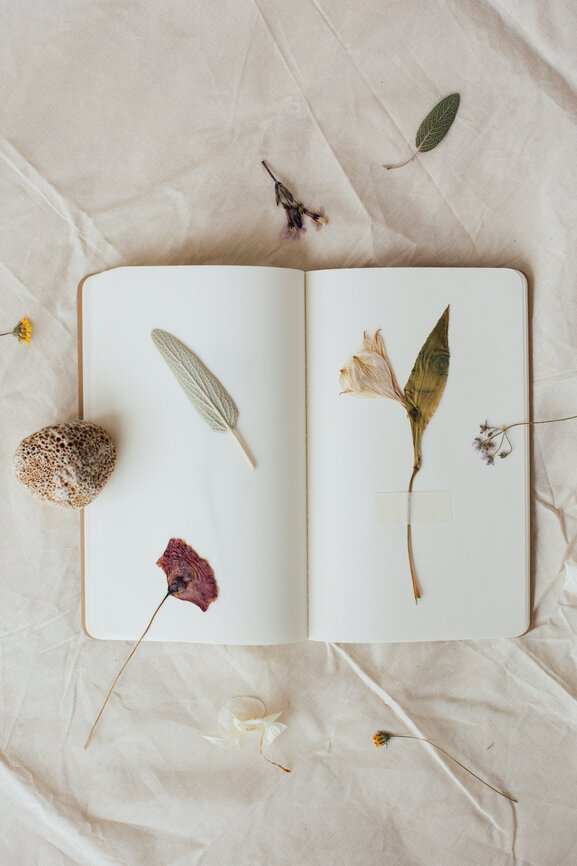 Your Simple Guide For How To Start Scrapbooking 