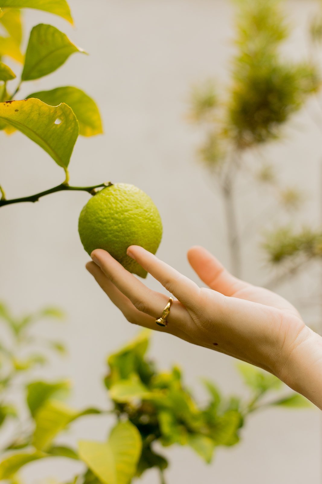 99 Ways To Fight Climate Change