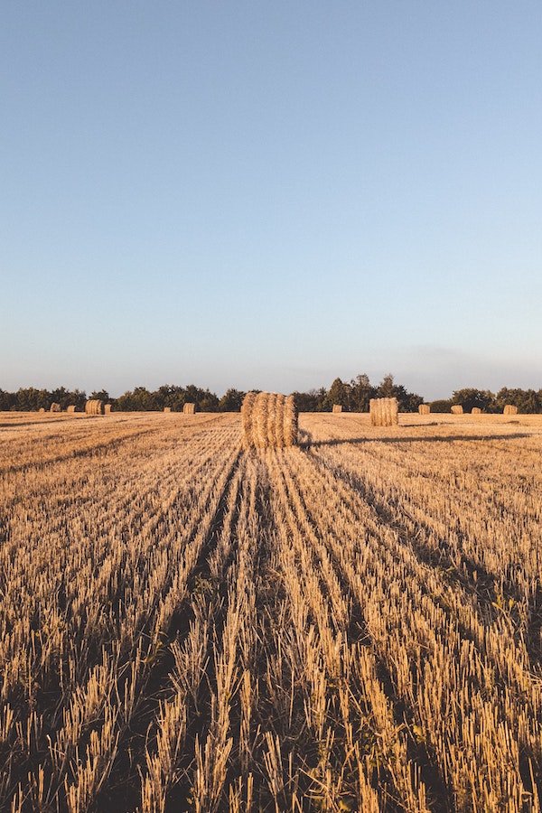 What Is Regenerative Agriculture?