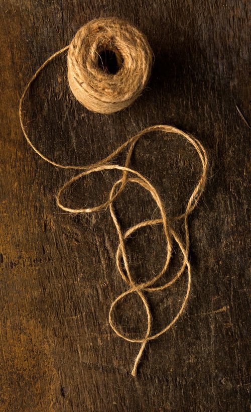 What Is Hemp—And Is It Sustainable?