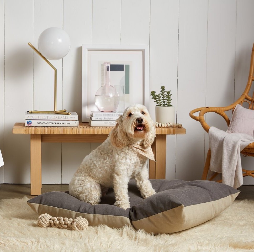 10 Eco-Friendly Dog Beds That Are Organic And Supportive
