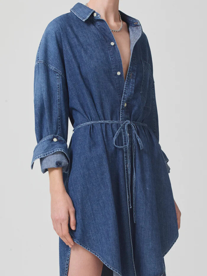 Citizens of Humanity Denim Dress