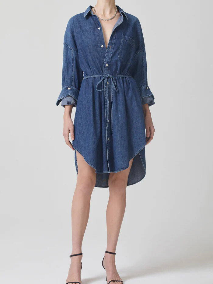 Citizens of Humanity Denim Dress