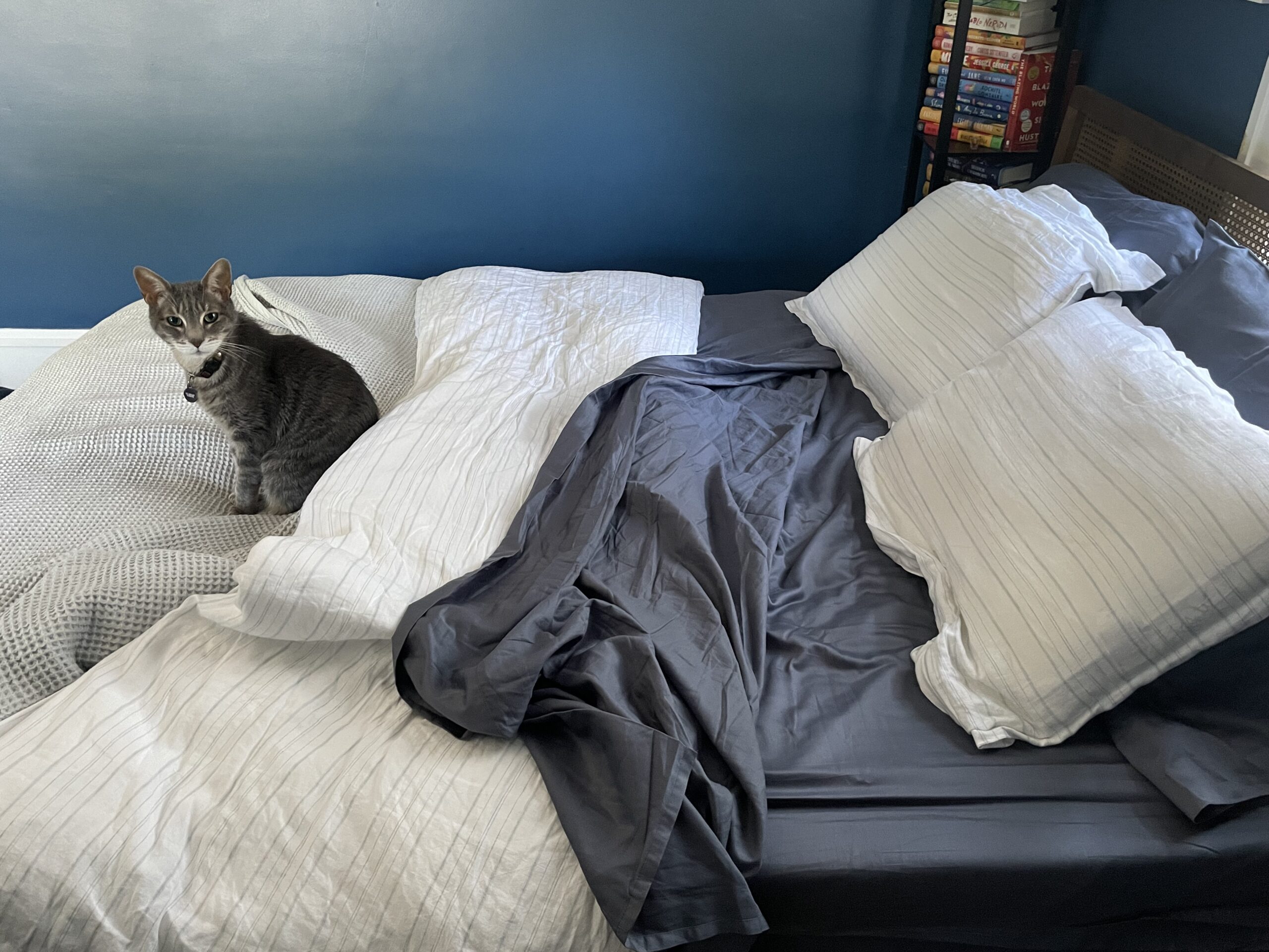 Boll & Branch bedding