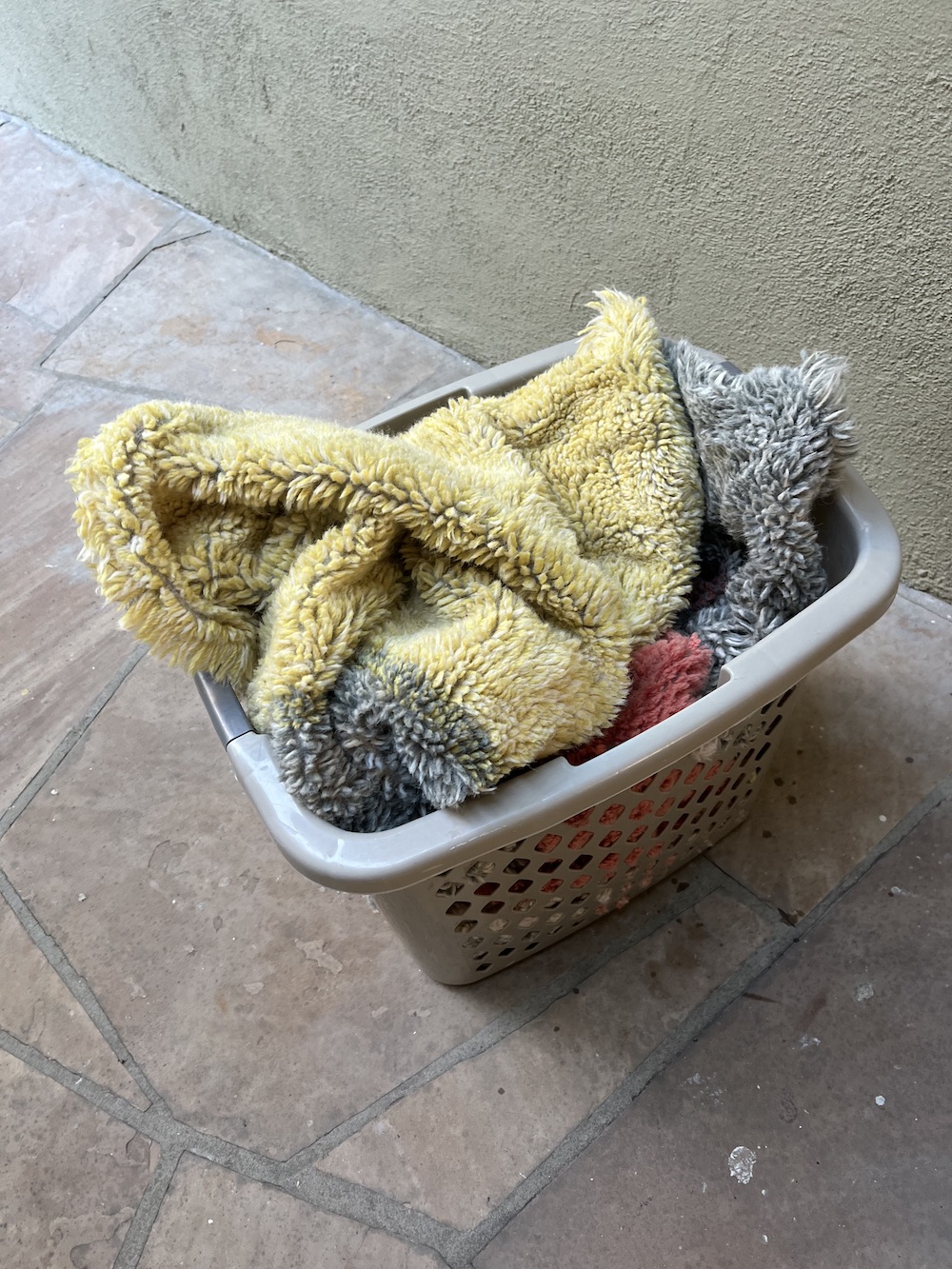 A washable Lorena Canals rug in a laundry basket. 