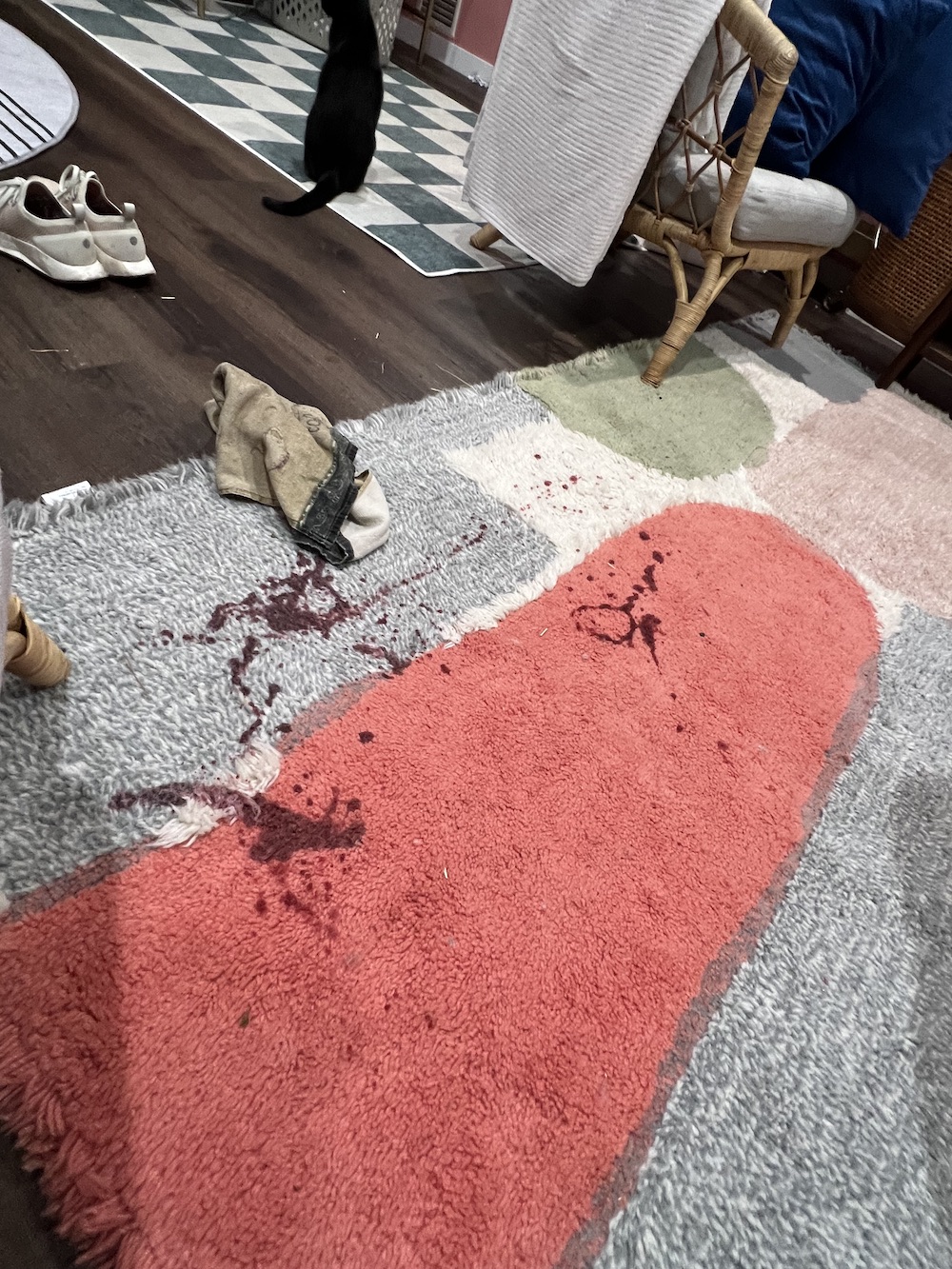 A red wine spill on a washable Lorena Canals rugs. 