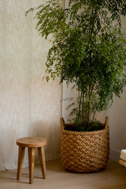 THE GOOD TRADE, FINAL EDITS (FALL 2020)