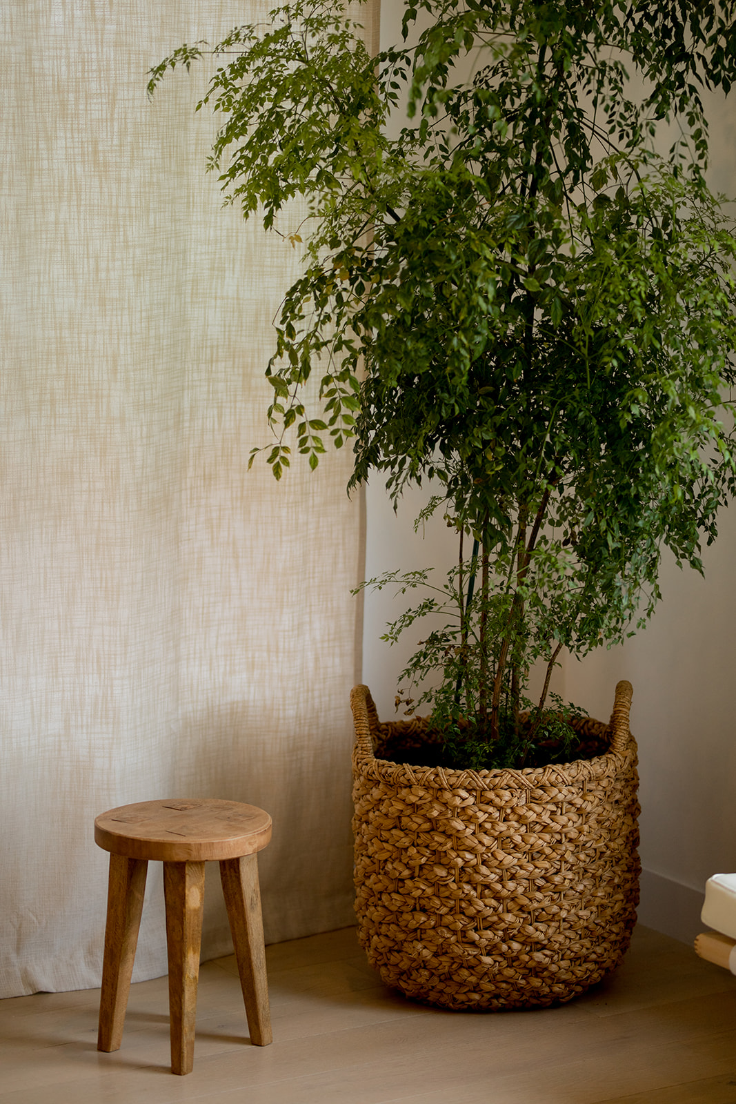 THE GOOD TRADE, FINAL EDITS (FALL 2020)