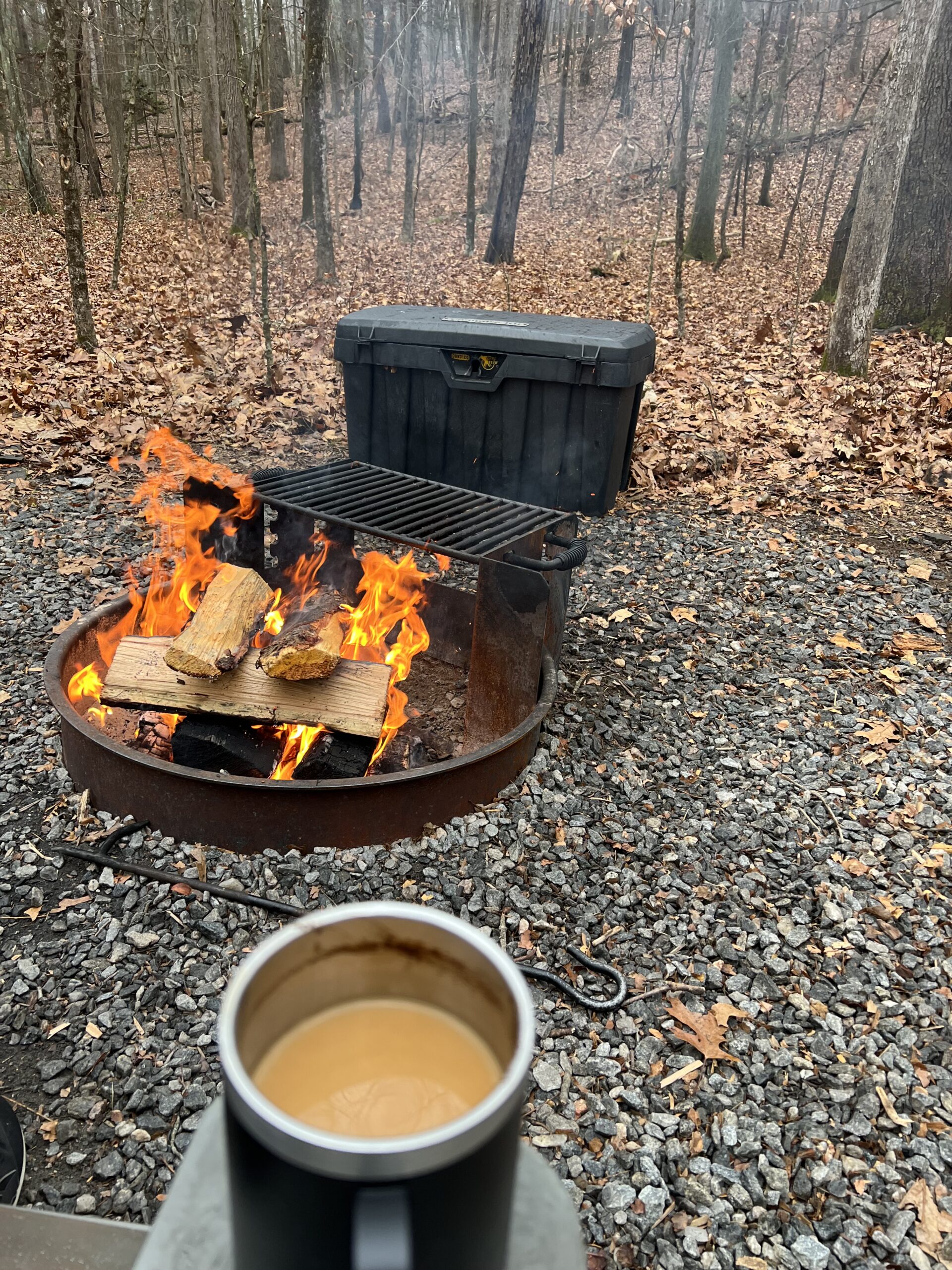 The fire pit with a roaring fire.
