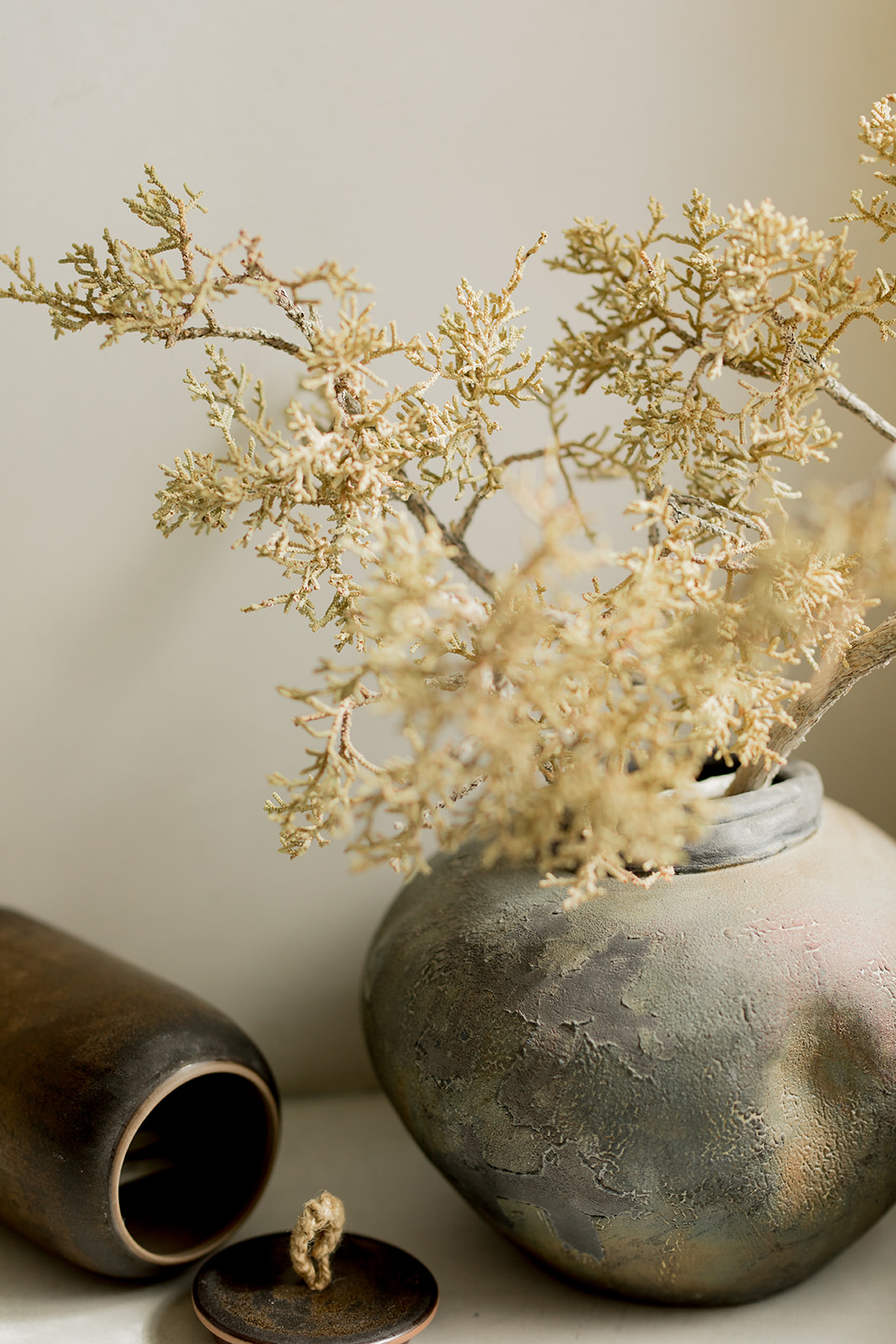 A vase with a plant in it.