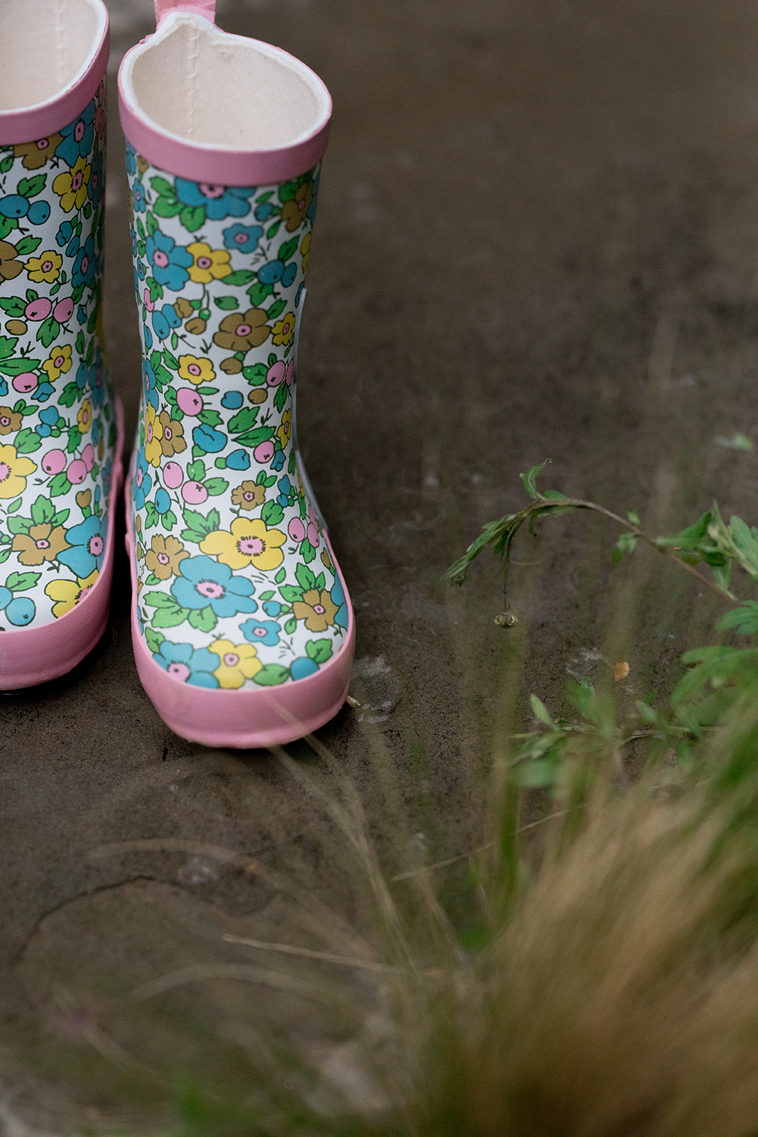 The Good Trade (Spring 2022, Final Edit)