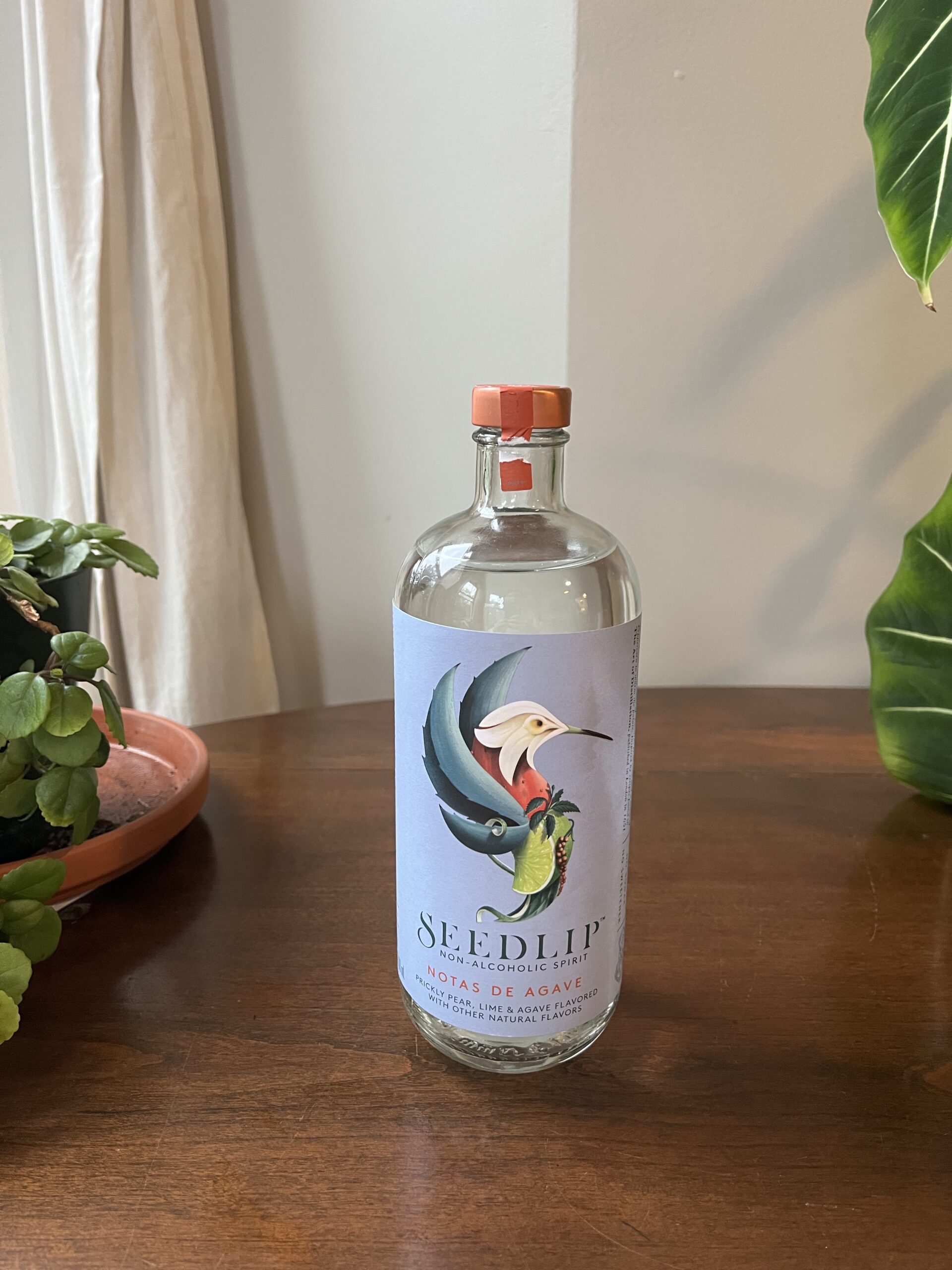A bottle of Seedlip non-alcoholic spirit with a floral and bird design label sits on a wooden surface next to some houseplants.
