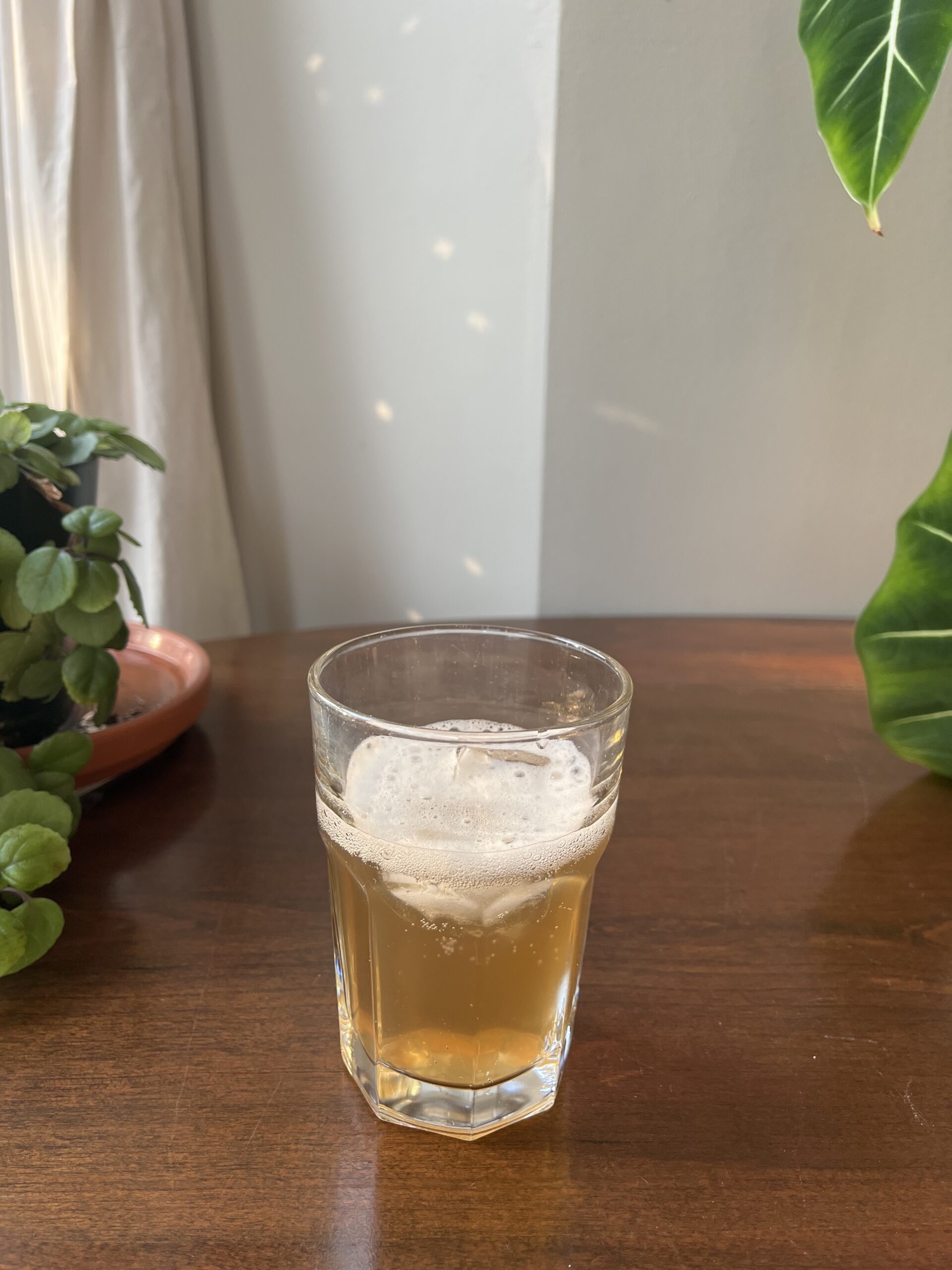 A glass of amber-colored liquid with a foamy head sits on a wooden surface, surrounded by green potted plants. Light filters through a window in the background.