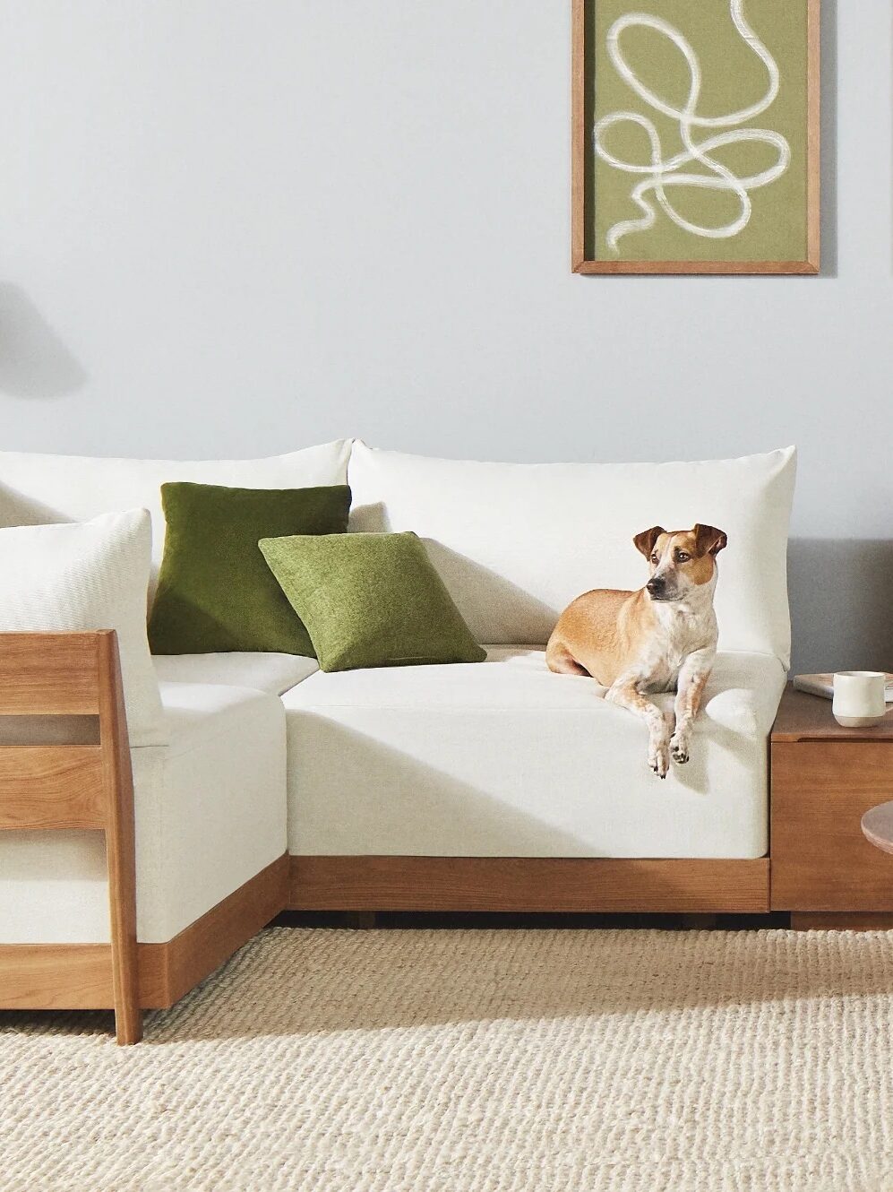 A modern living room featuring a large white sectional sofa with wooden accents, green pillows, a small coffee table, plants, and a dog sitting on the sofa.