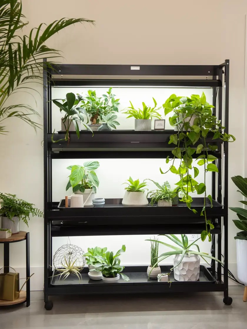 An indoor vertical garden from Gardeners Supply Company.