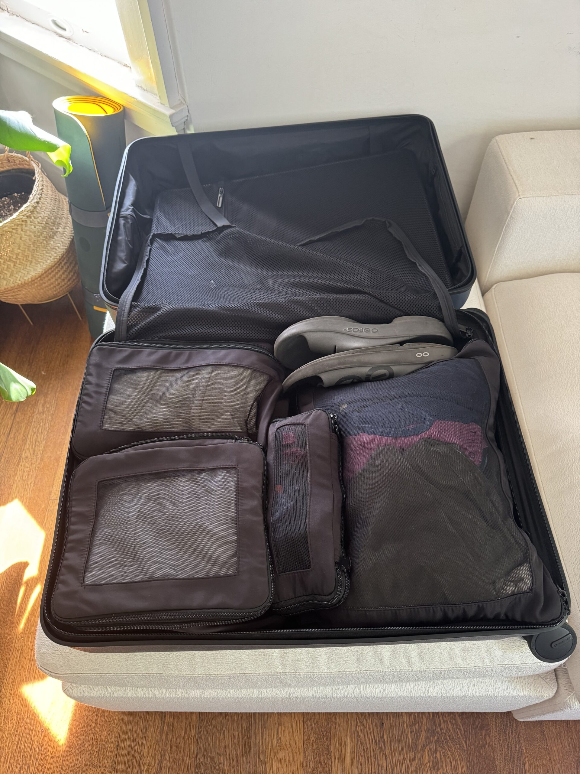 Open suitcase on a white couch containing organized packing cubes, a pair of gray shoes, and folded clothes, next to a window with potted plants.