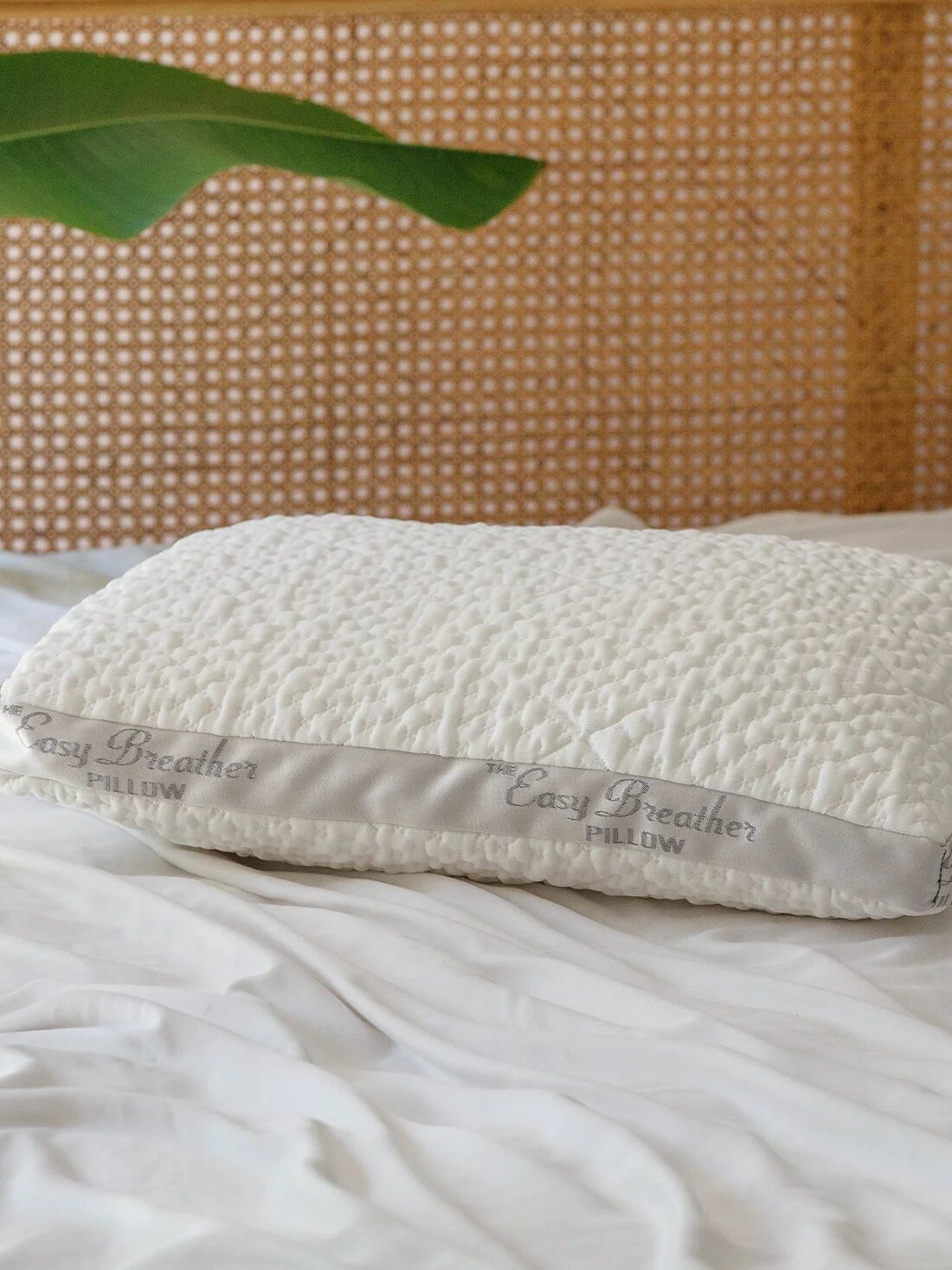 A white pillow with a light grey stripe on the edge rests on a disheveled white bedspread. The bed has a woven headboard and a green leaf is partially in view on the left.