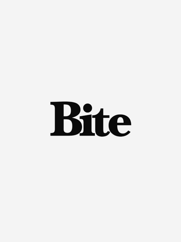 The image shows the word "Bite" in bold, black font on a white background.