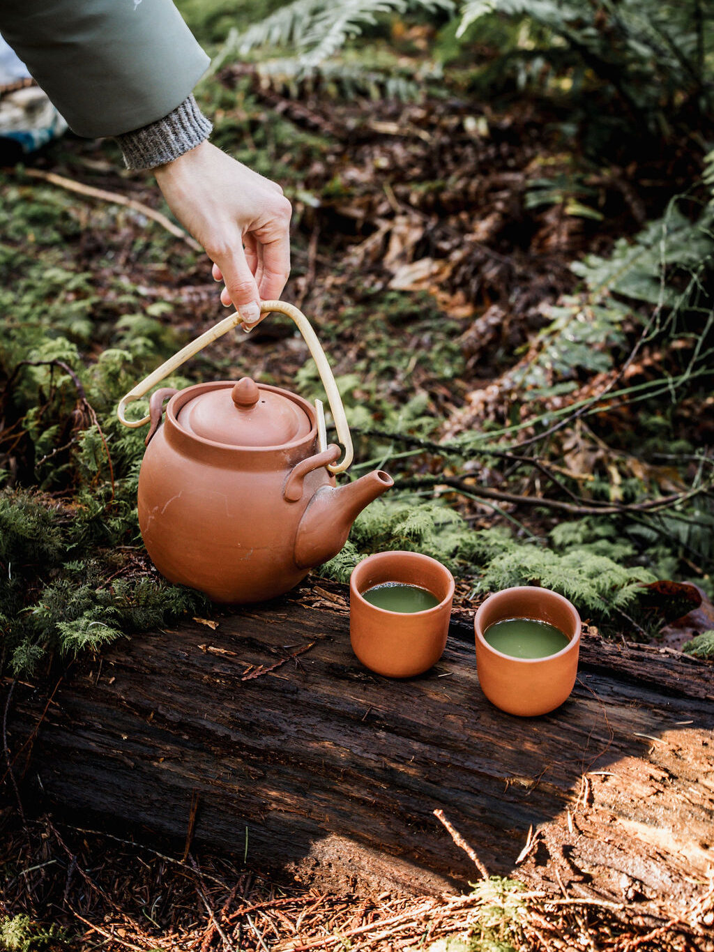 A hand pours tea from a brown teapot into two brown teacups placed on a fallen log in a forest setting.