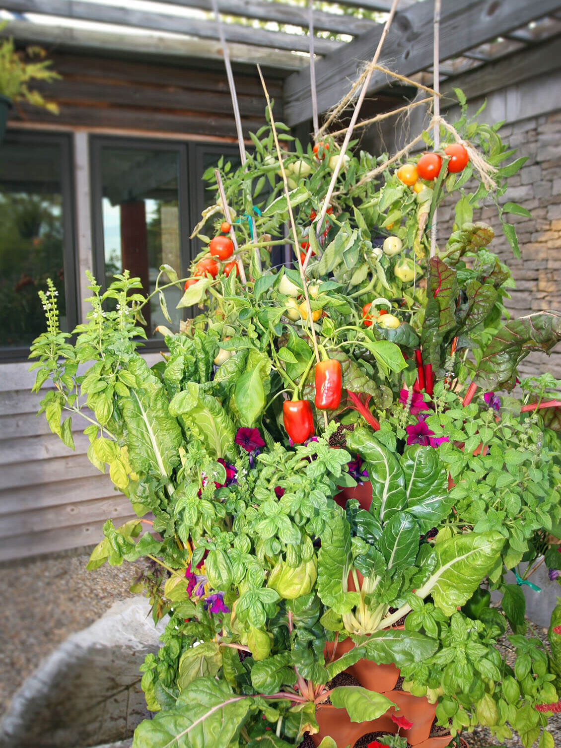 A vertical garden with fruits and vegetables from Garden Tower Project.