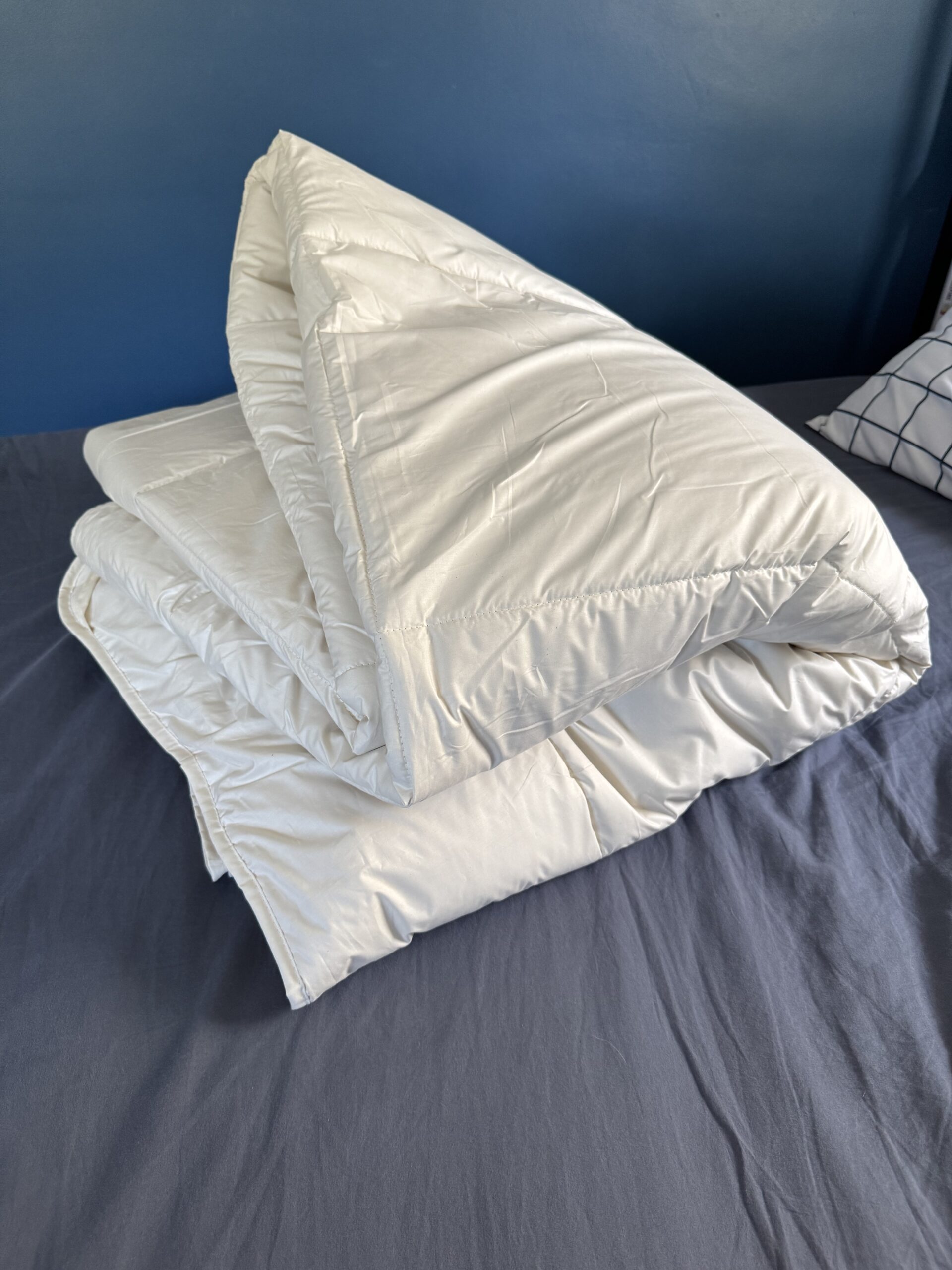 A Naturepedic duvet insert comforter.