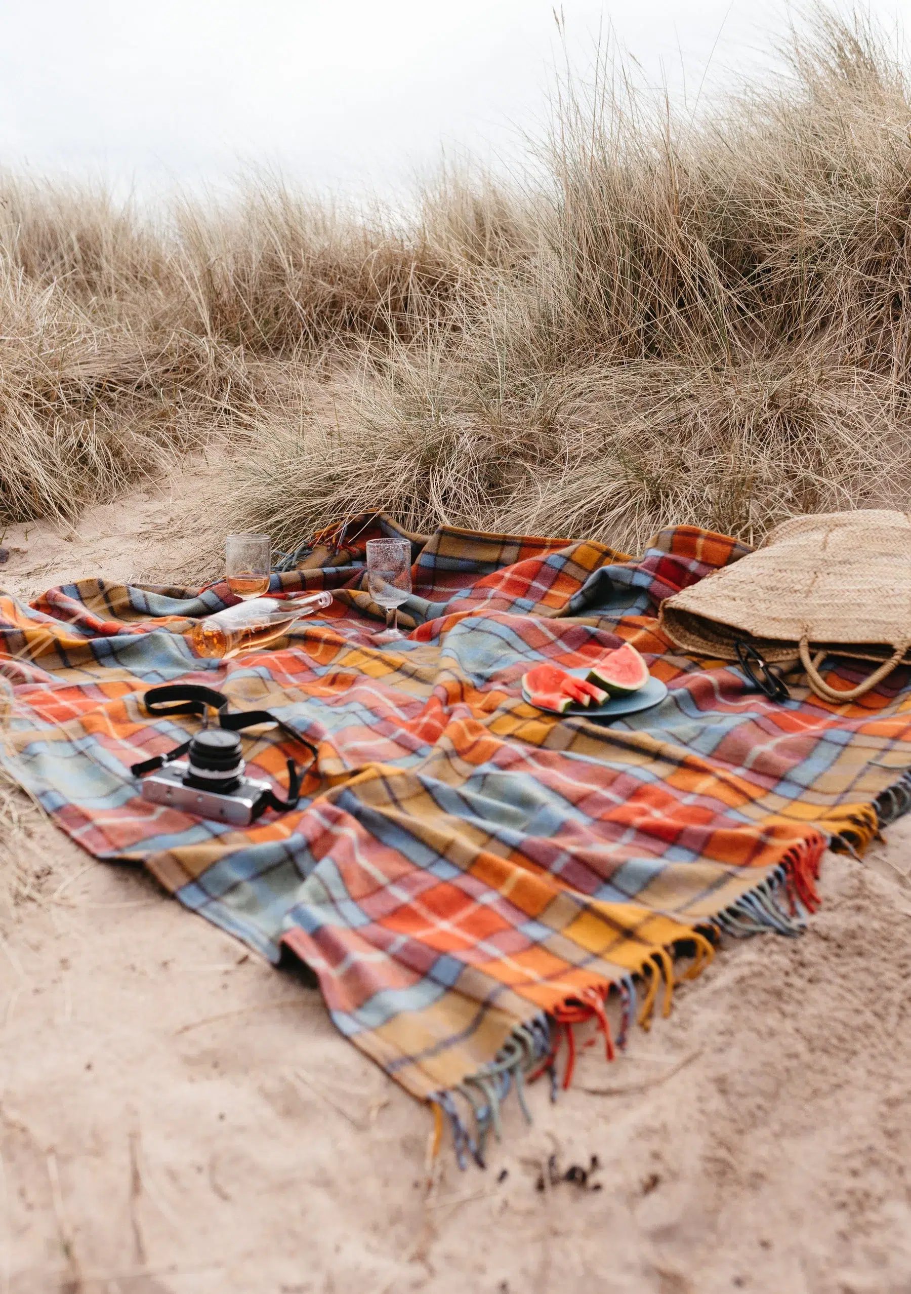 A plaid blanket is spread on sandy ground with camera, glasses, plates of watermelon, and a straw bag. Tall grass grows in the background.