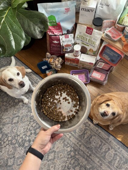 A hand holds a bowl with dog kibble, while two dogs sit nearby. Various bags and containers of dog food and treats are arranged on the floor in the background.