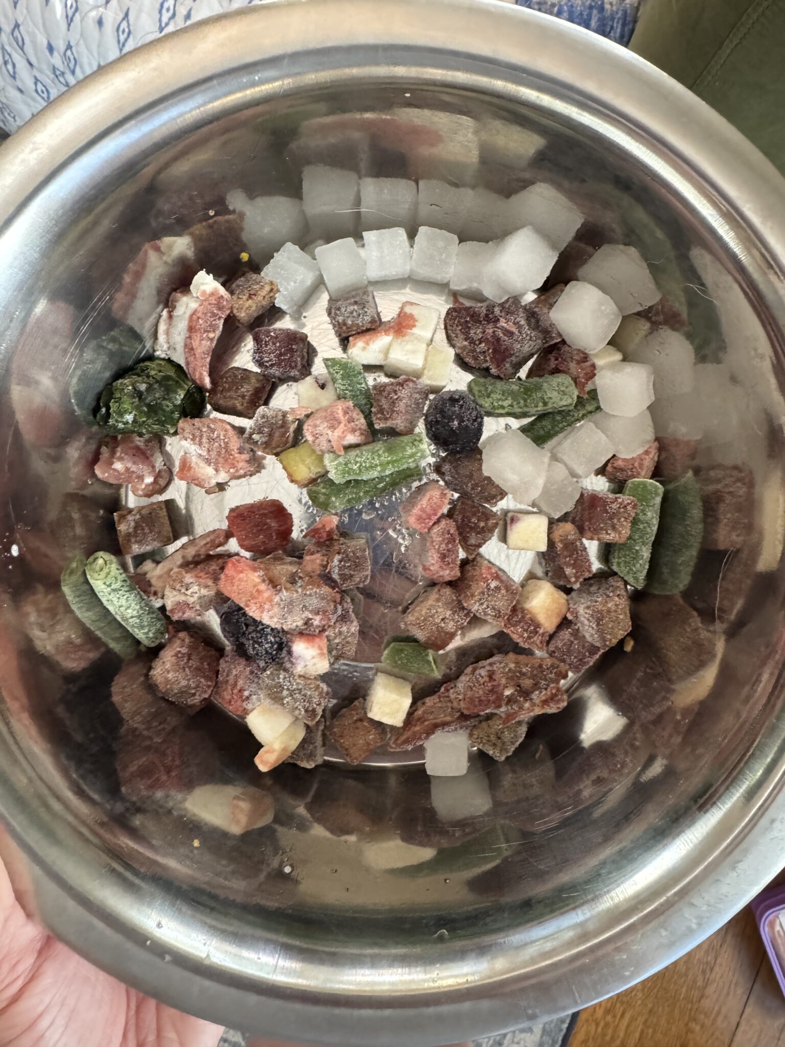 A stainless steel bowl containing a variety of frozen cubes and chunks, including meat, vegetables, and white ice cubes.