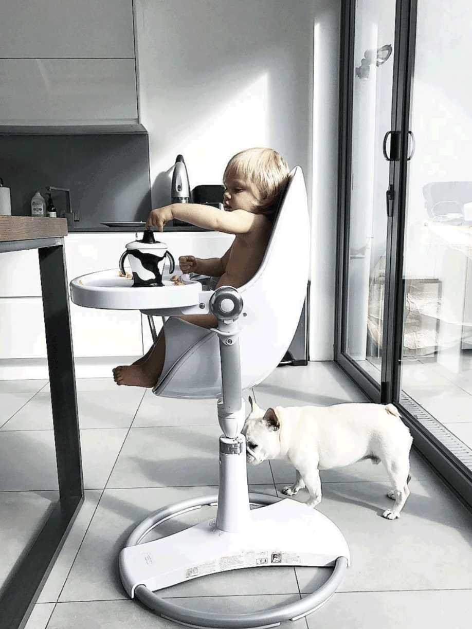A toddler sits in a modern high chair in a bright kitchen, reaching for a toy. A small dog stands nearby on the floor.