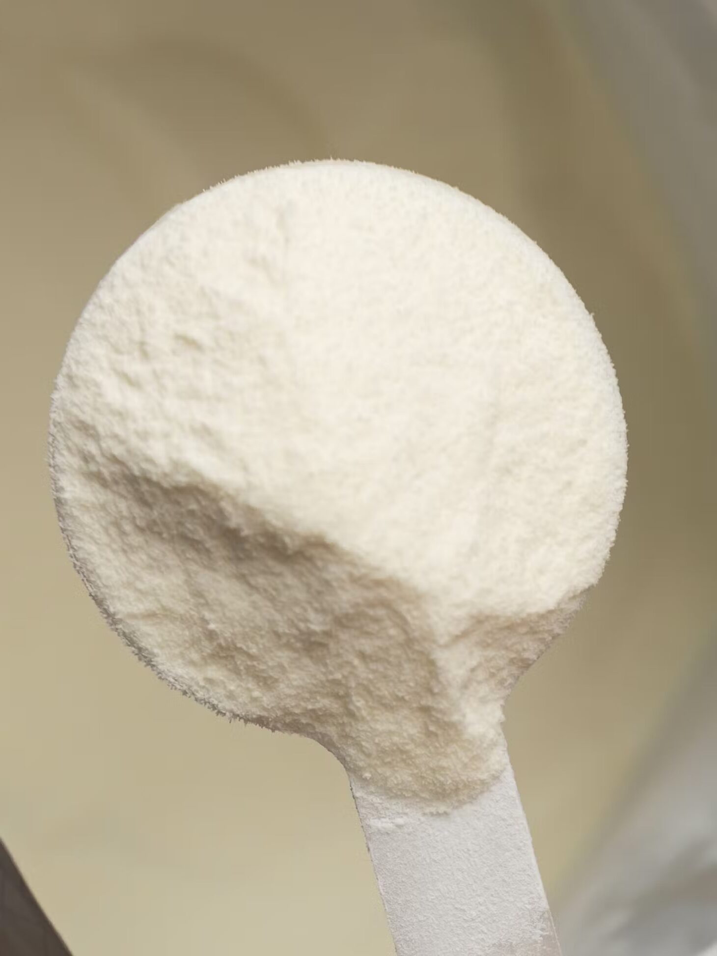 Close-up of a scoop filled with fine white powder, possibly protein powder or powdered milk, against a blurred background.