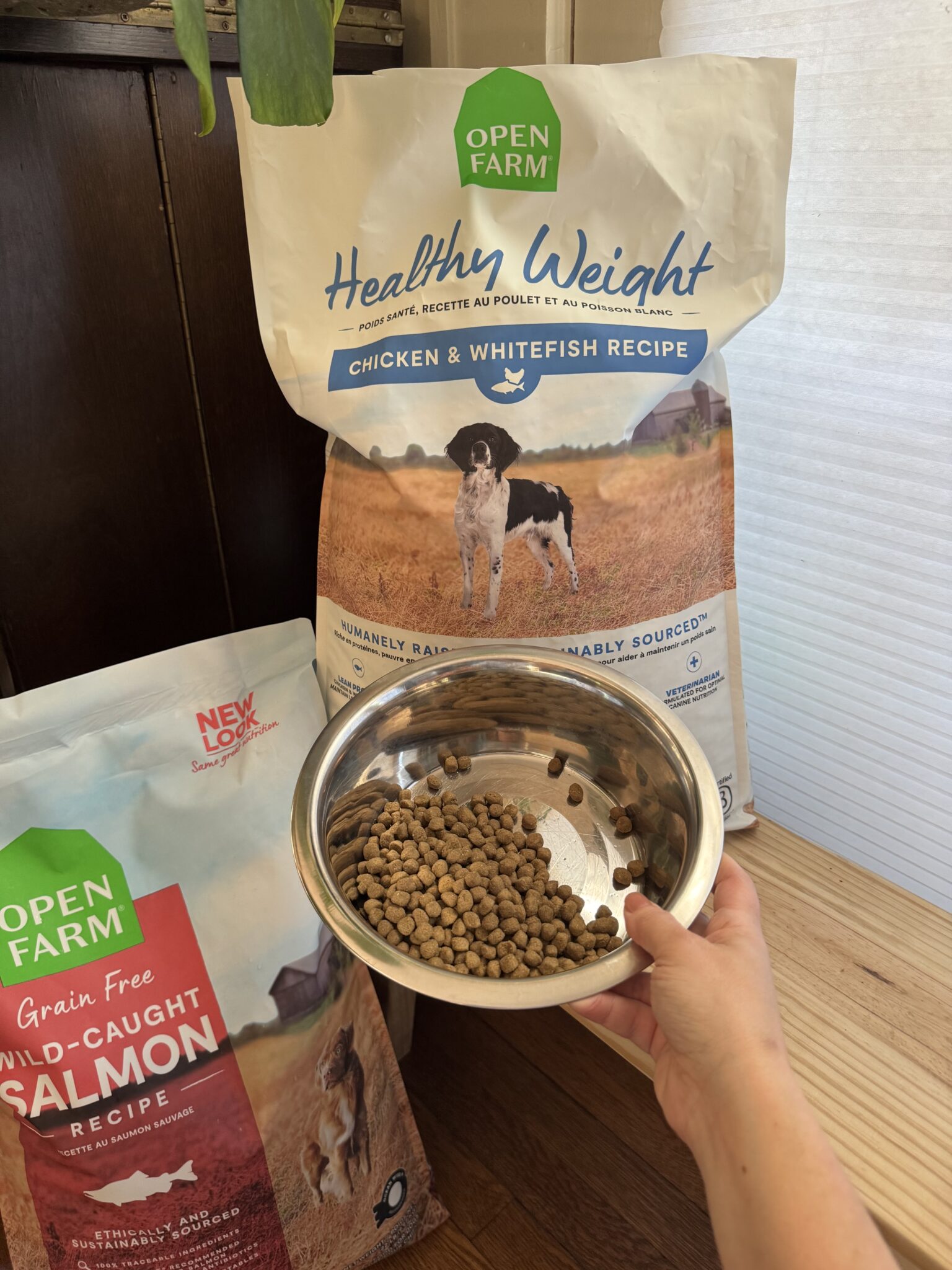 A hand holds a stainless steel bowl of dry dog food in front of Open Farm dog food bags labeled "Healthy Weight" and "Grain Free Wild-Caught Salmon Recipe.