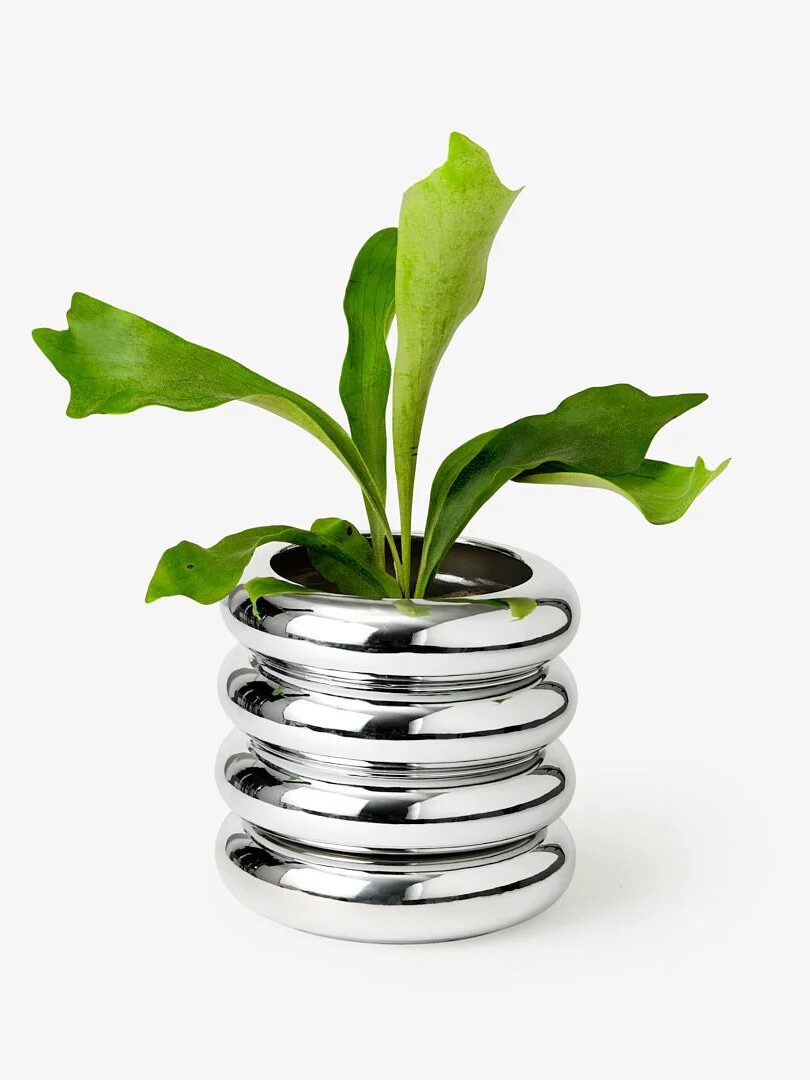 A green plant with broad leaves in a shiny, metallic, stacked ring planter on a plain background.