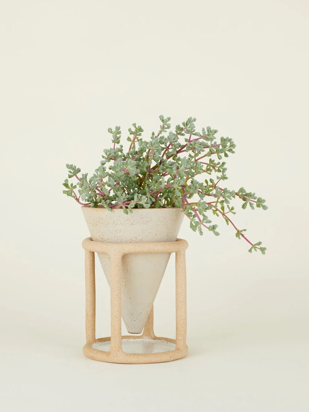 A small, green plant with pink stems is in a conical, speckled white planter supported by a beige geometric stand against a plain background.