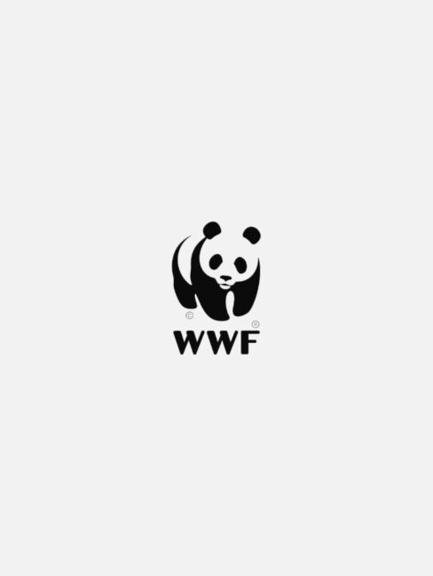 WWF logo featuring a black and white panda bear.