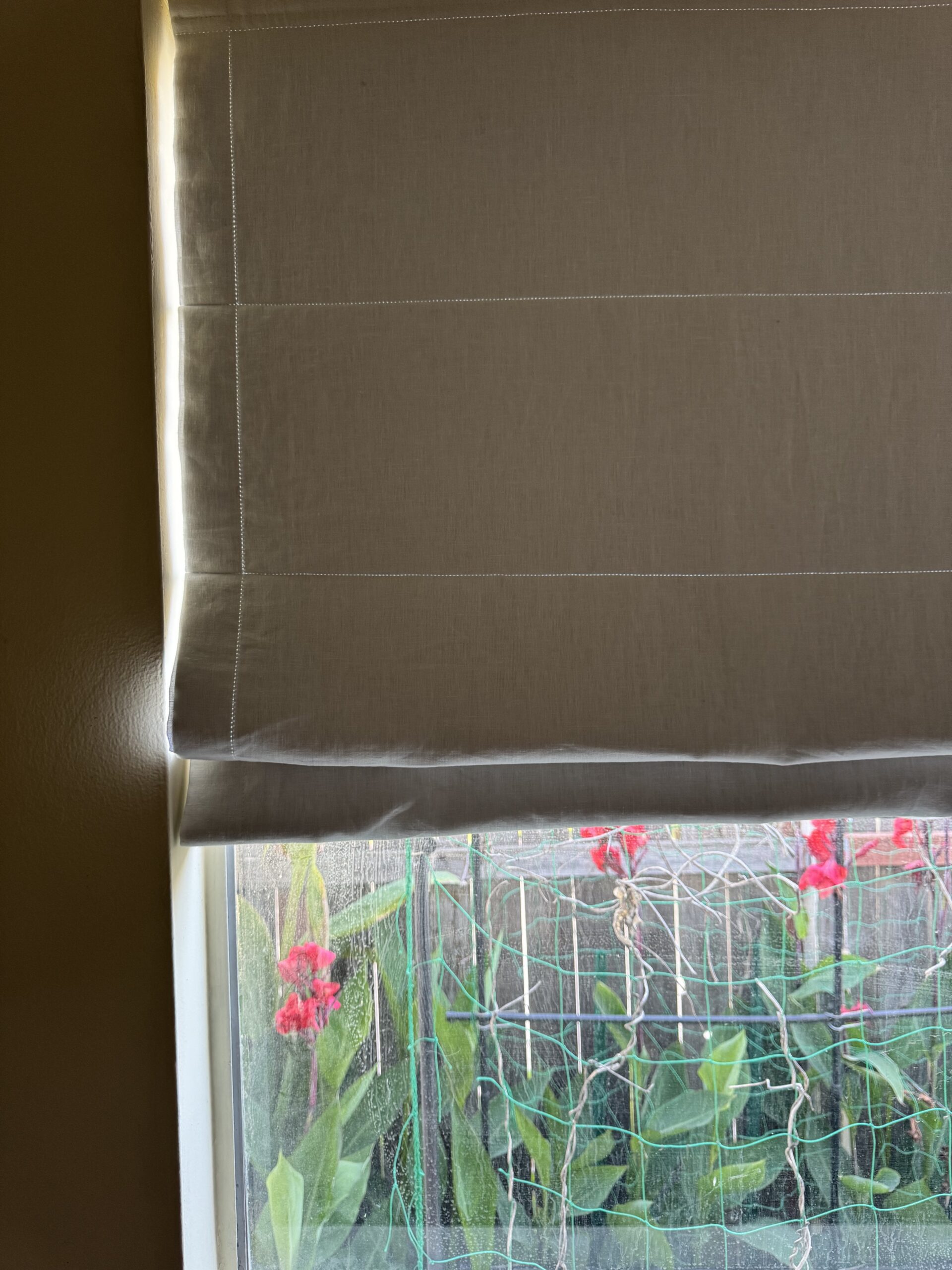 A window with a beige Roman shade partially open, revealing red flowers and green plants outside.
