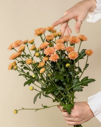 A person holding a bouquet of orange chrysanthemums against a plain beige background.