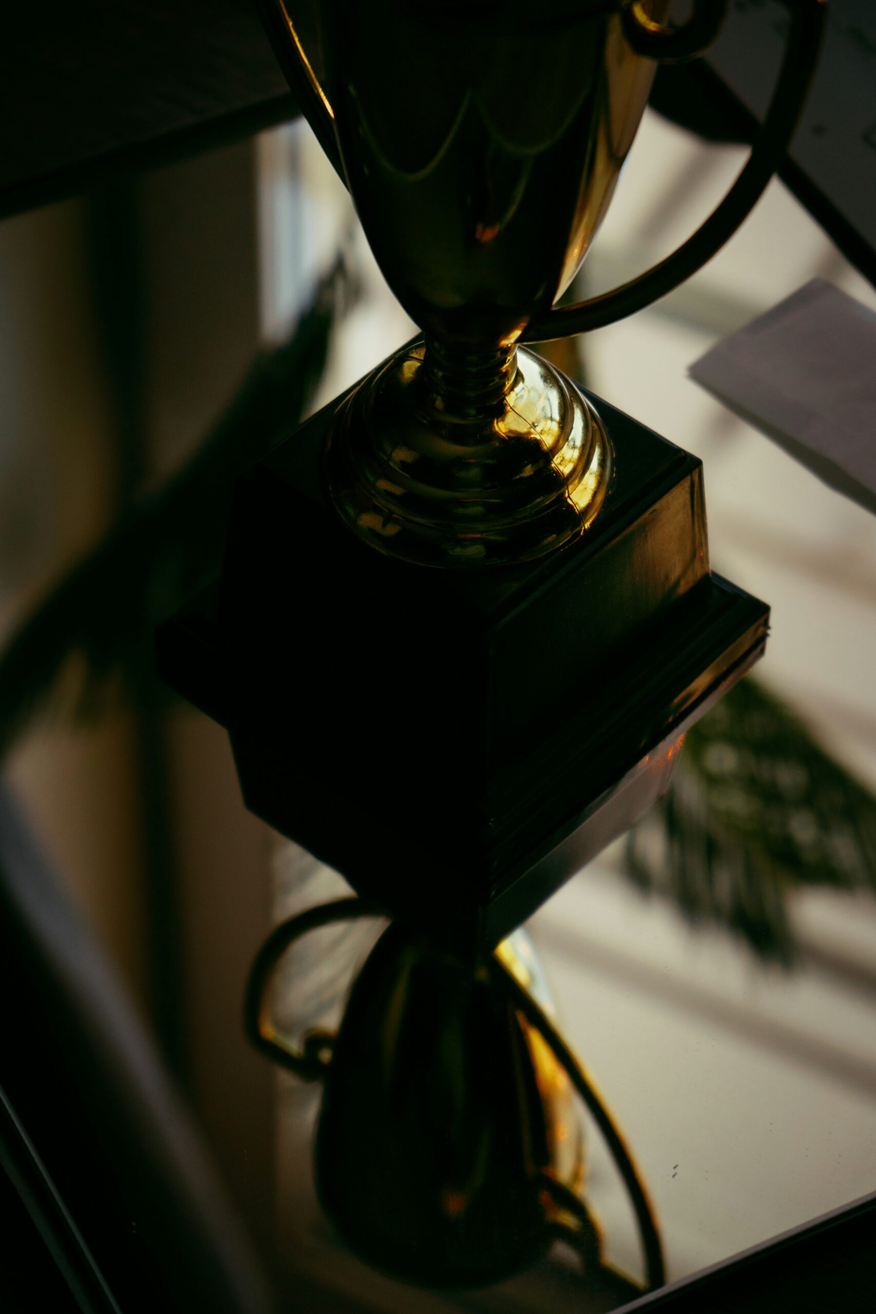 A bronze trophy is placed on a reflective dark surface, casting a shadow and reflection. The scene is dimly lit, emphasizing the trophy's shape and the reflection below.