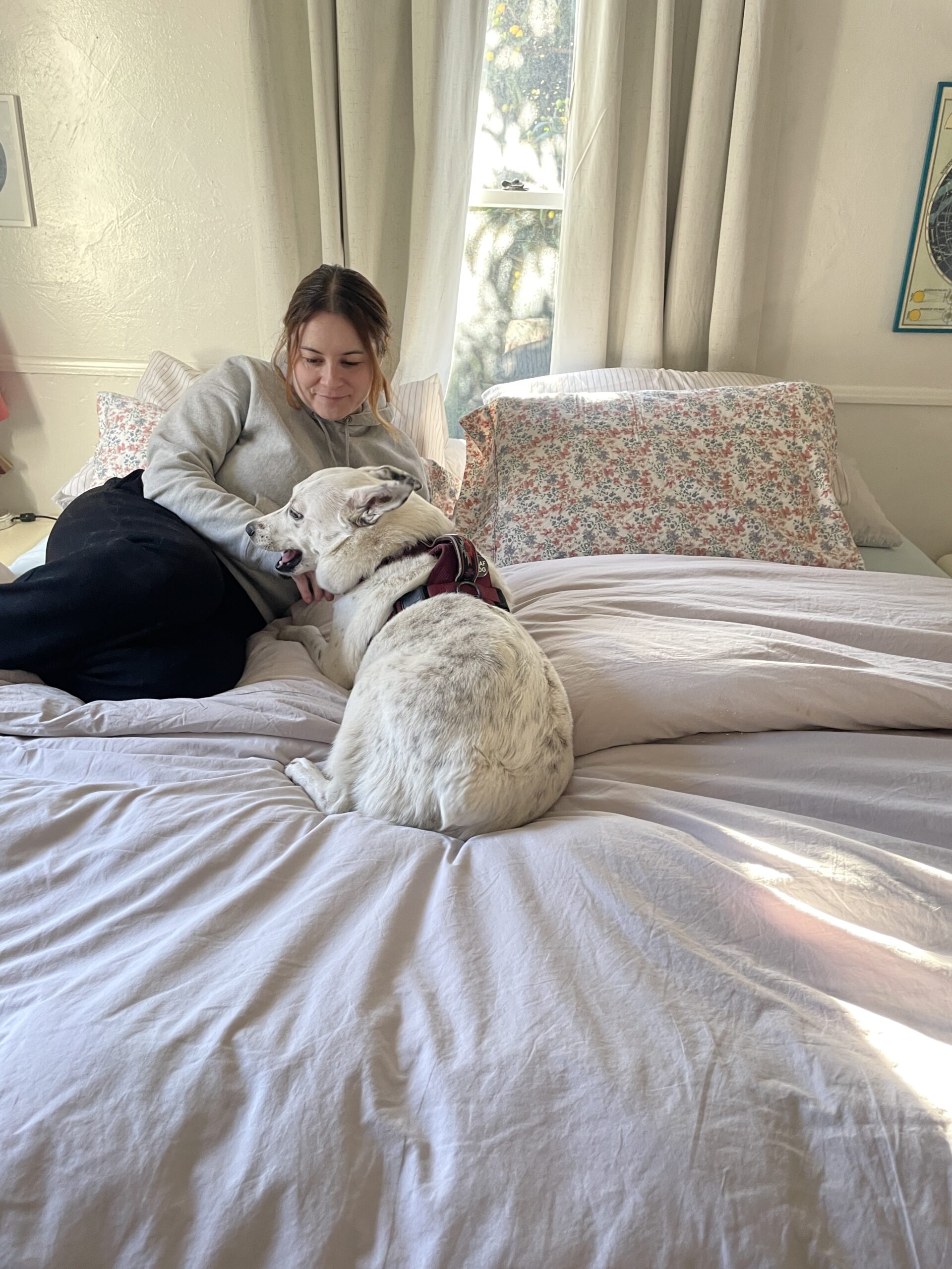 A woman in a gray sweater sits on a bed with a white dog lying beside her. The bed has white sheets and floral pillows. Natural light comes through a window in the background.
