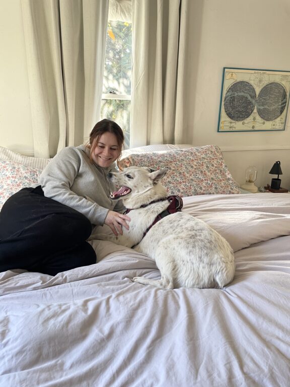 A person in a gray sweater sits on a bed next to a white dog wearing a harness. The room has light curtains, a floral bedspread, and a map on the wall.