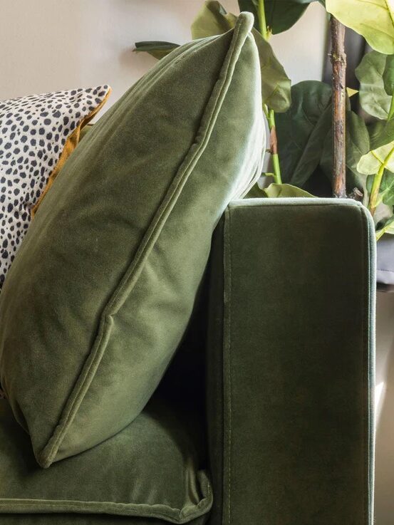 Green velvet couch with a large spotted cushion and a plain green cushion. A leafy plant is visible in the background.